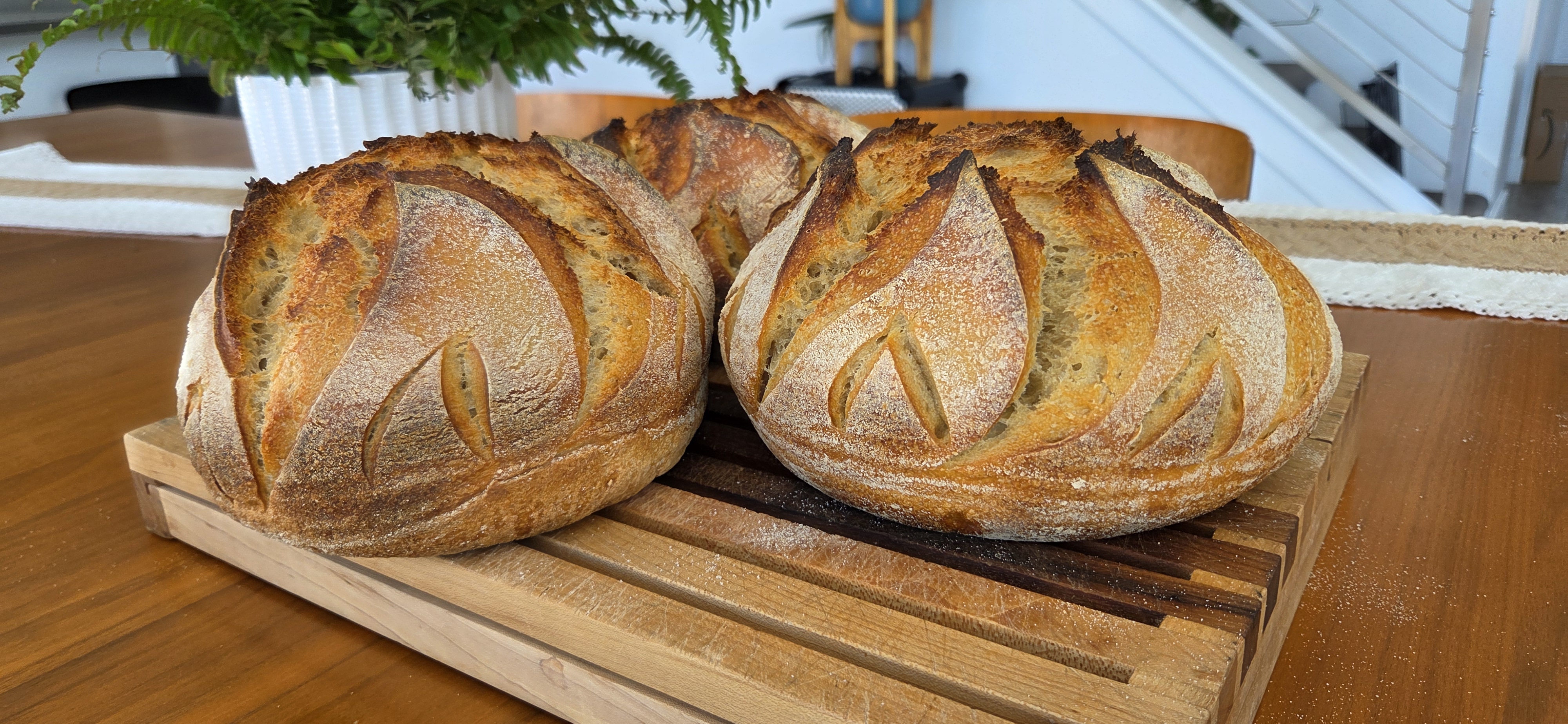 Classic sourdough loaves with volcanic scoring on a wooden bread board
