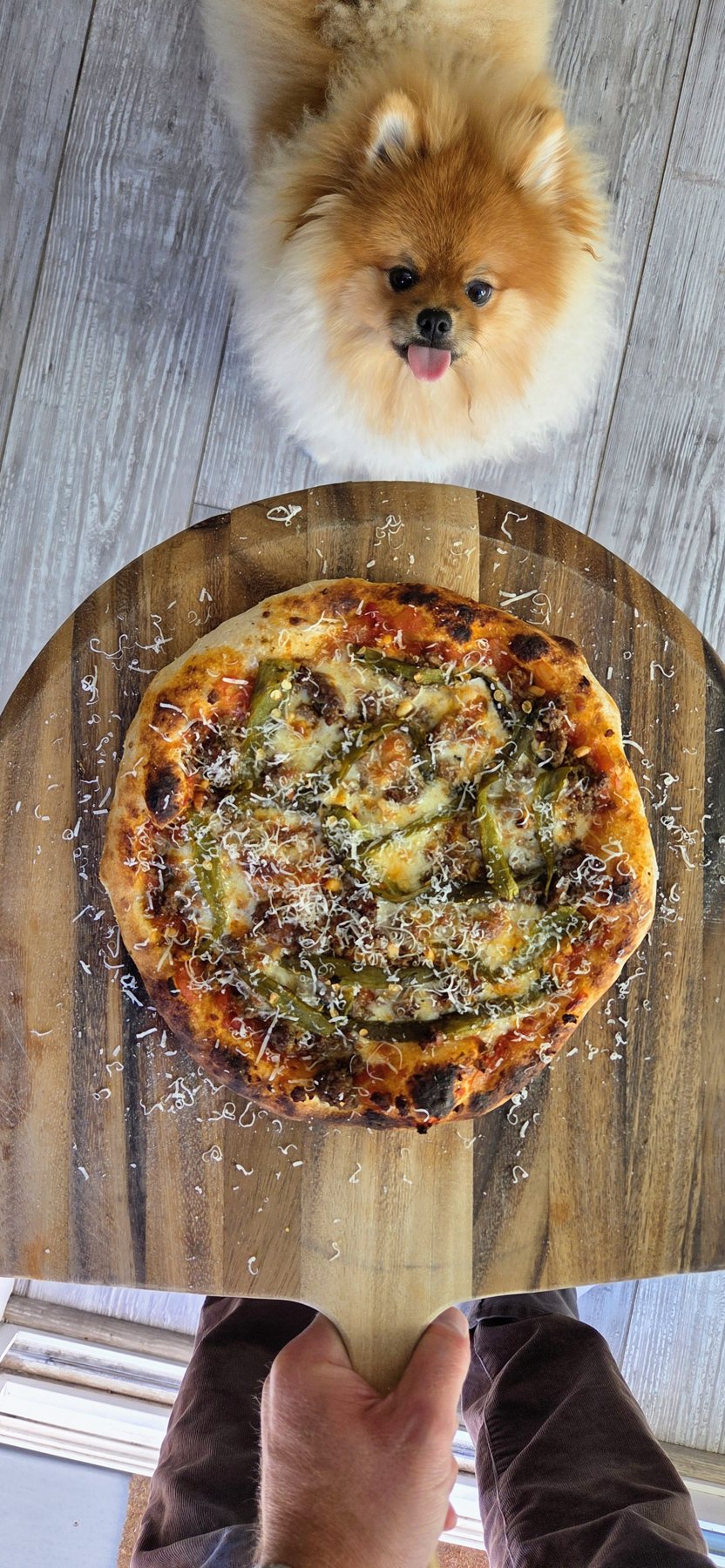 Sourdough Pizza Dough