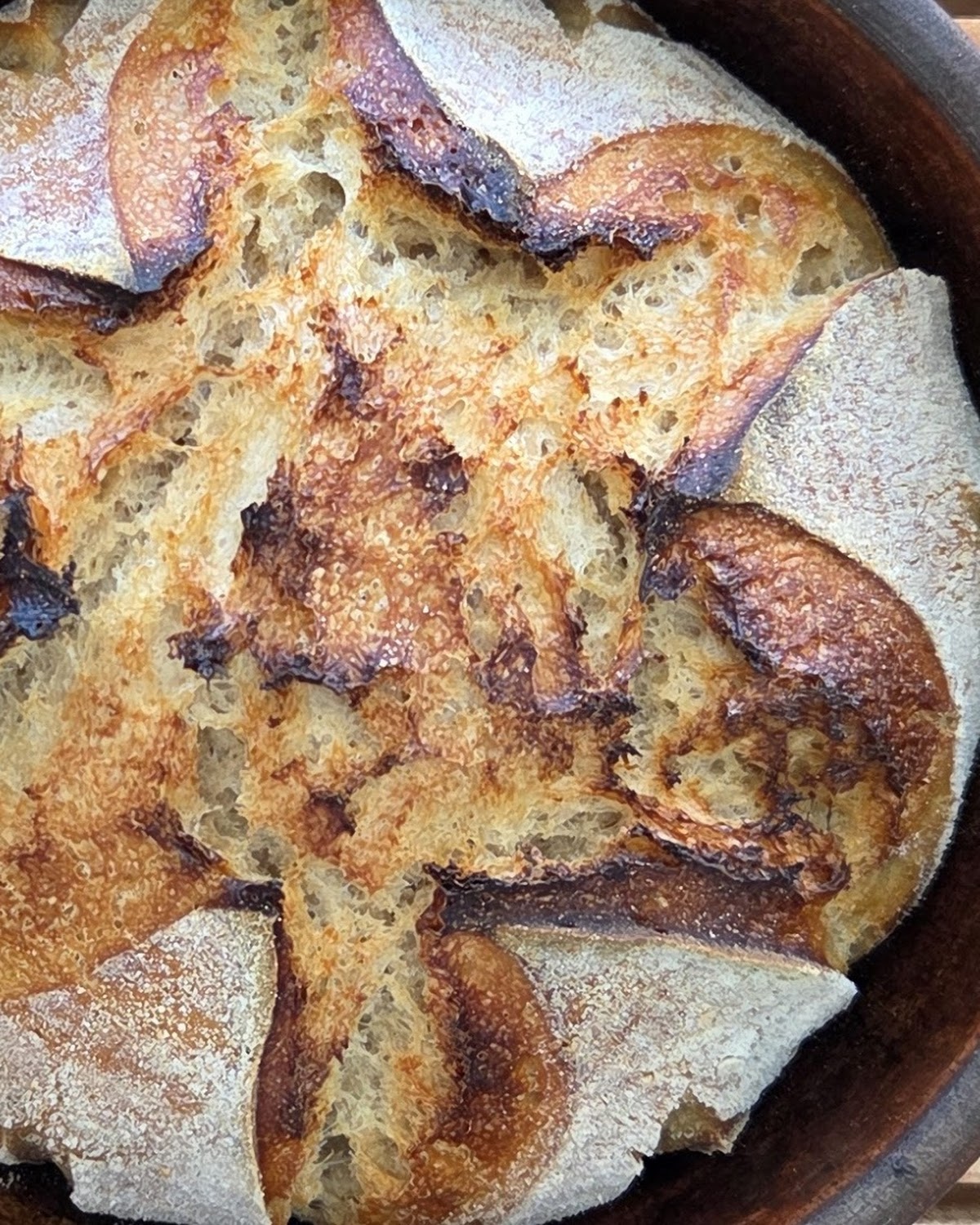 mooon BREAD Monthly